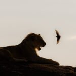 Blog thumbnail