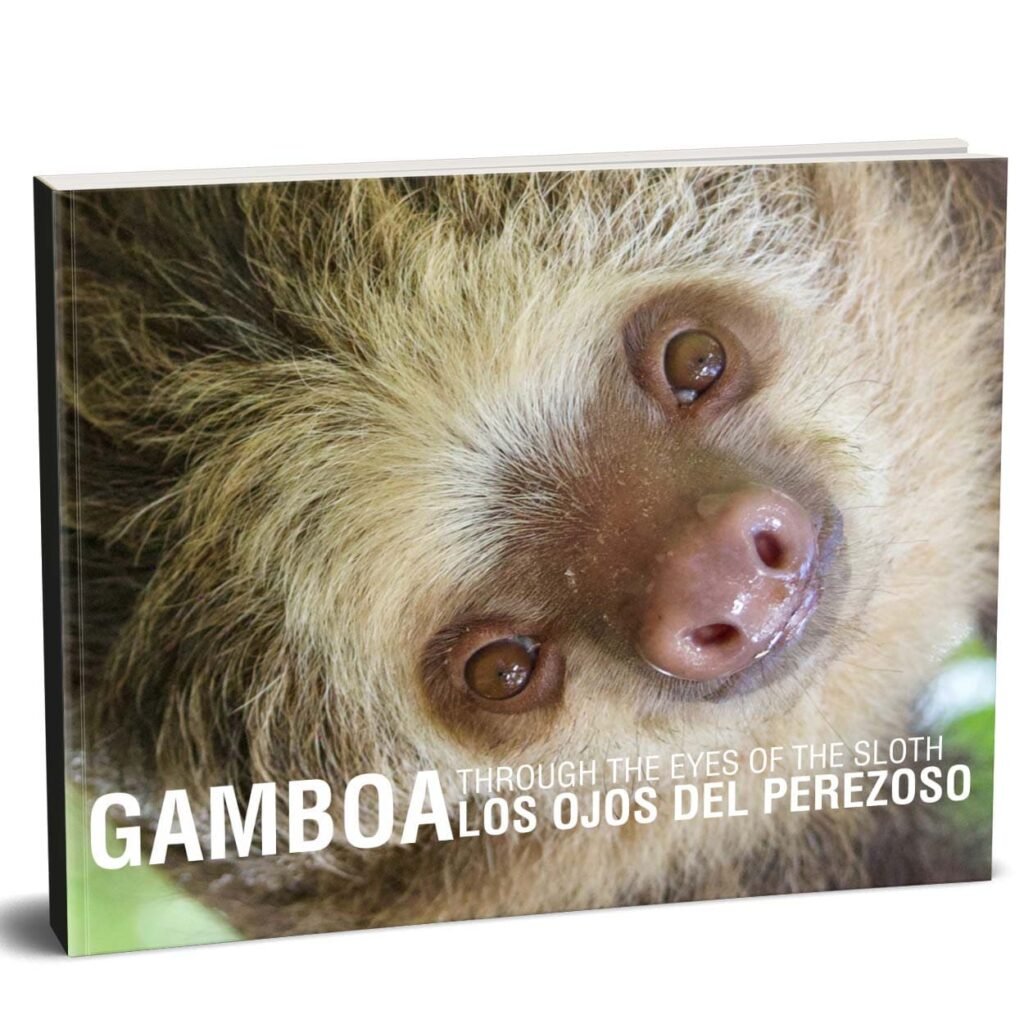 coversito SLOTH