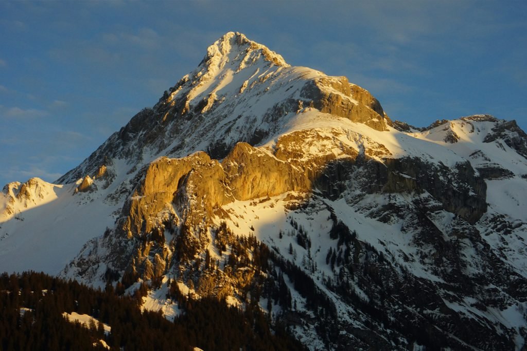 Gstaad winter safari